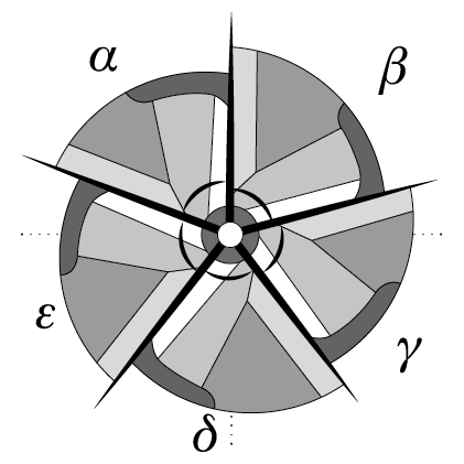 79750 Irregular Division